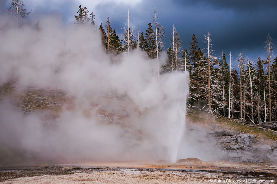 Great Geyser — Yellowstone, NP