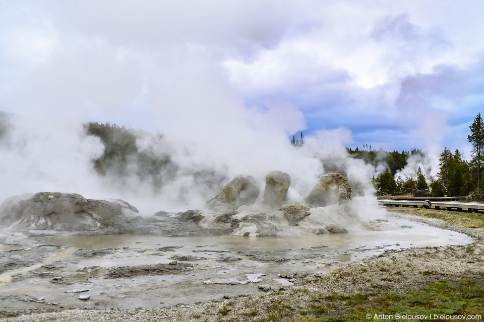 Grotto Geyser — Yellowstone, NP