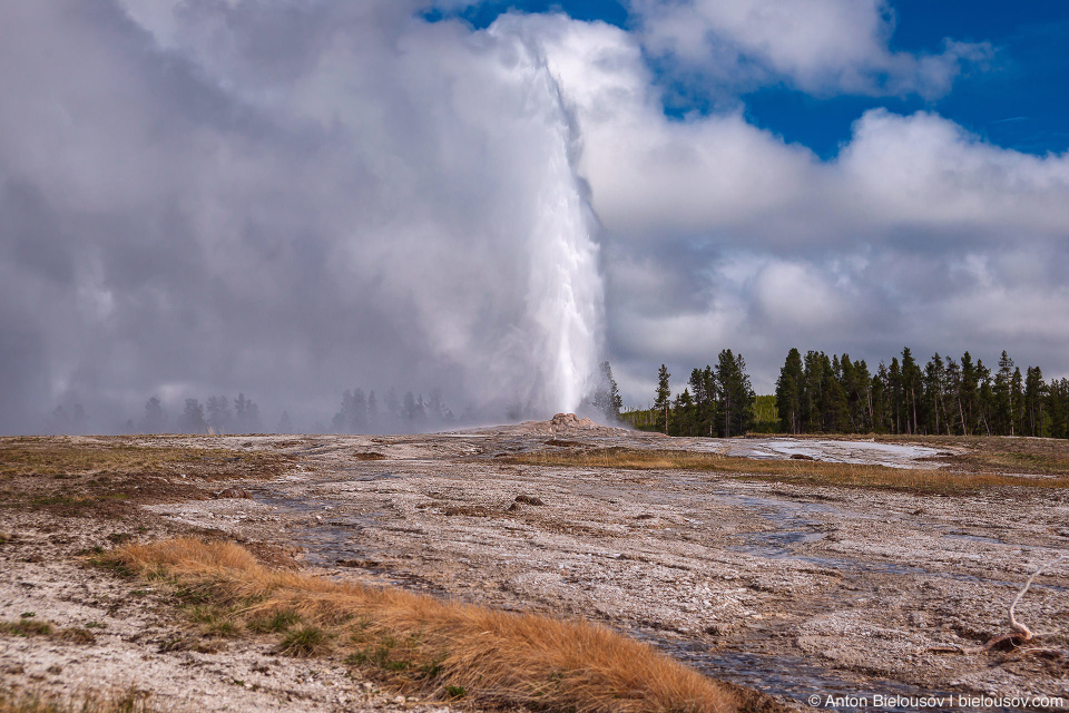 Old Faithful Geyser — Lower Geyser Basin, Yellowstone NP