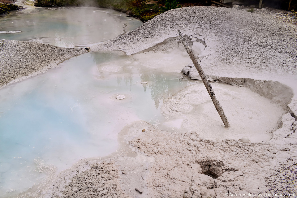 Mudpot — Artists Paintpots, Yellowstone NP