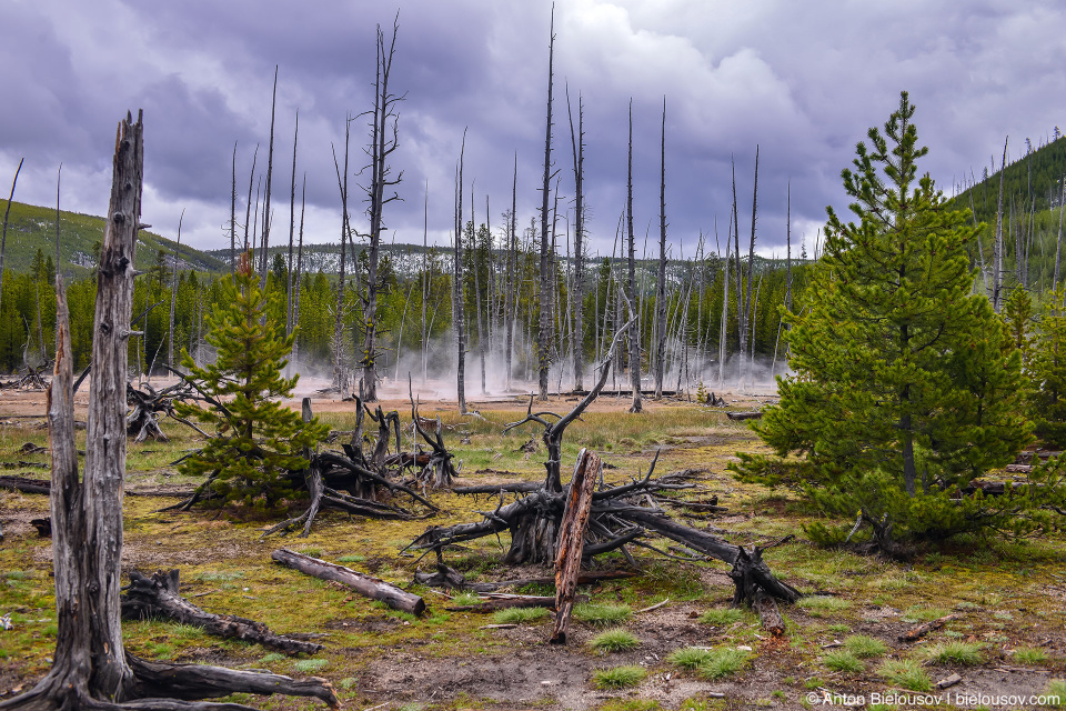 Artists Paintpots — Yellowstone NP