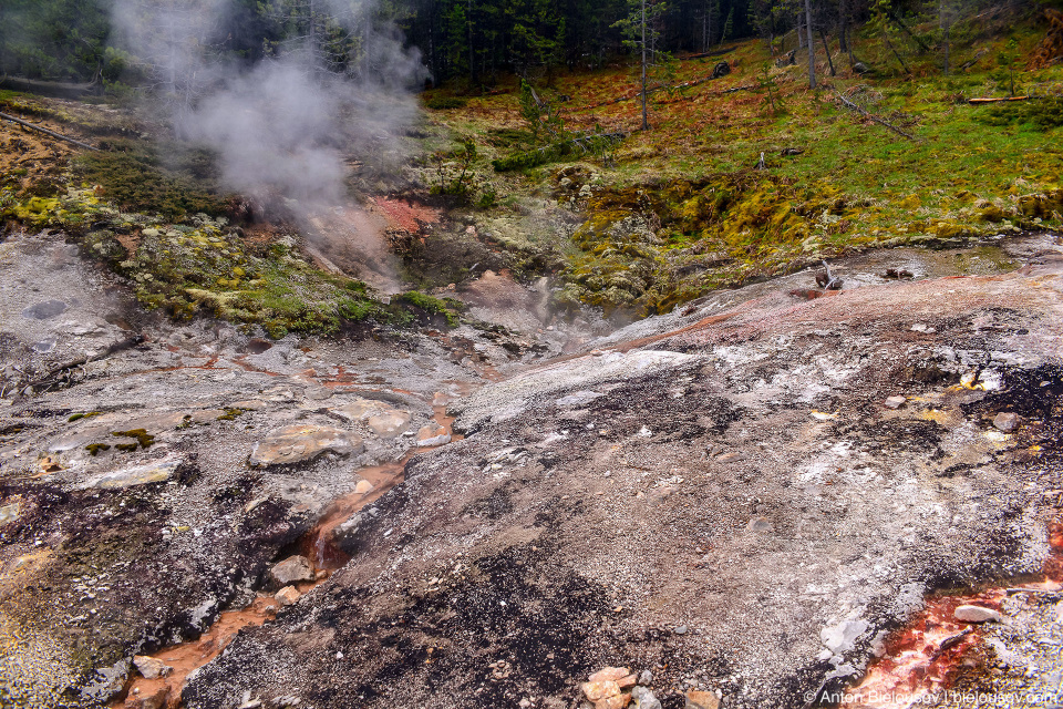 Artists Paintpots — Yellowstone NP