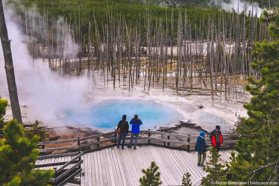 Back Norris Geyser Basin — Yellowstone NP