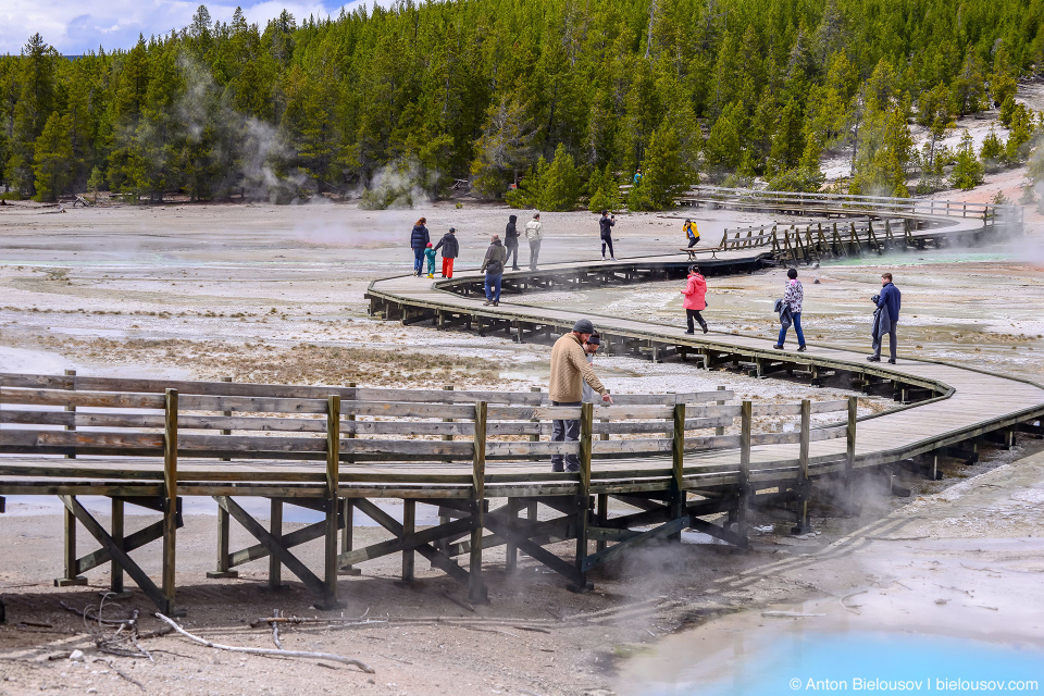 Norris Geyser Basin — Yellowstone NP