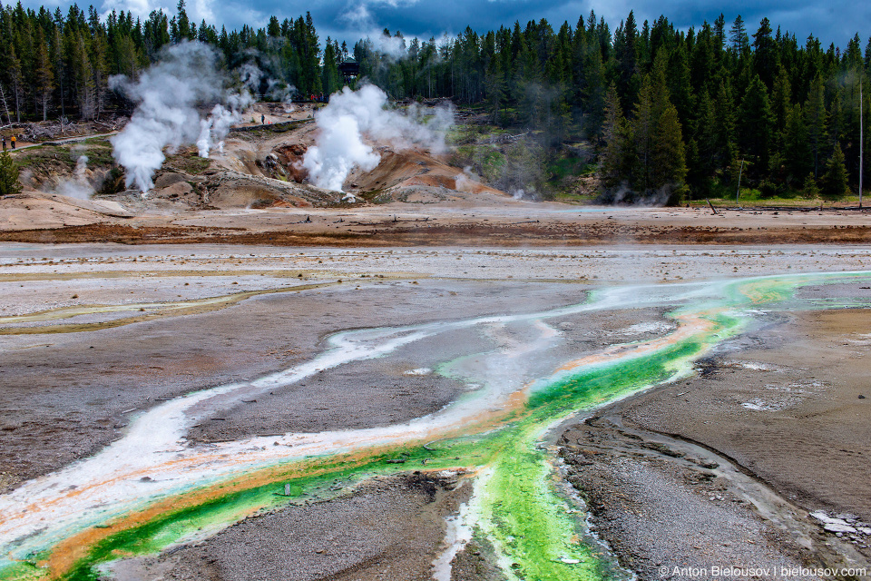 Norris Geyser Basin — Yellowstone NP