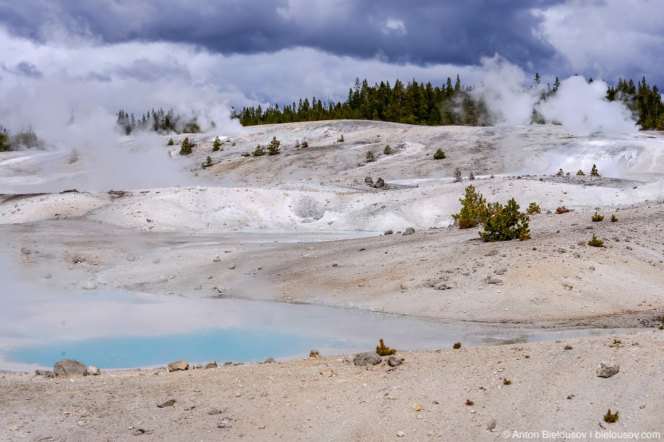 Norris Geyser Basin — Yellowstone NP