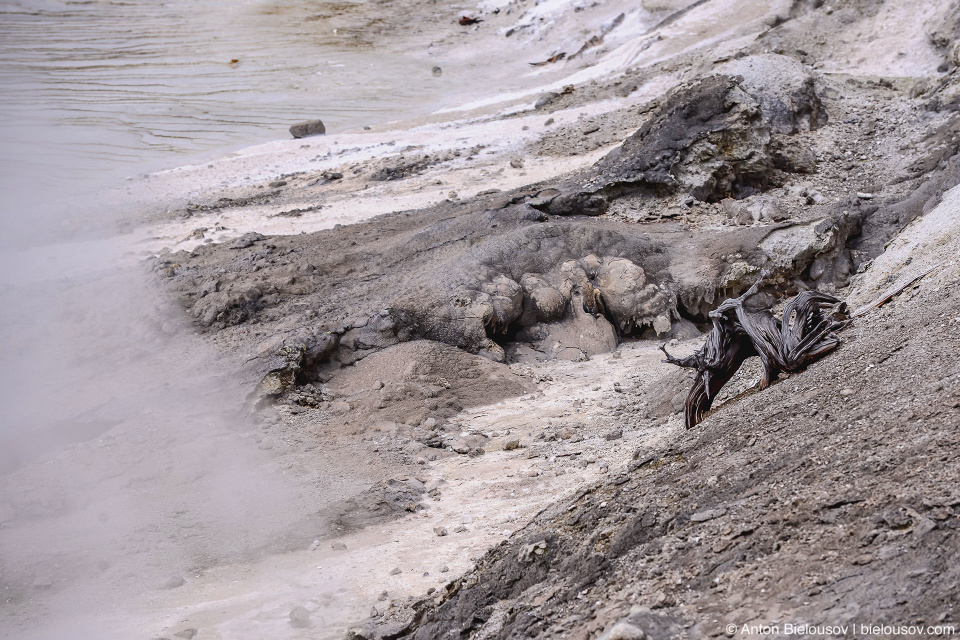 Norris Geyser Basin — Yellowstone NP