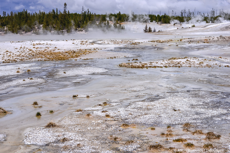 Norris Geyser Basin — Yellowstone NP