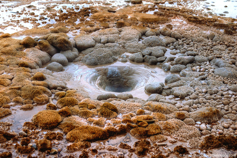 Monarch Geyser — Back Norris Geyser Basin, Yellowstone NP