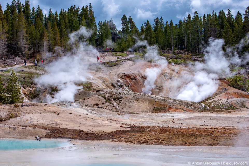 Norris Geyser Basin — Yellowstone NP