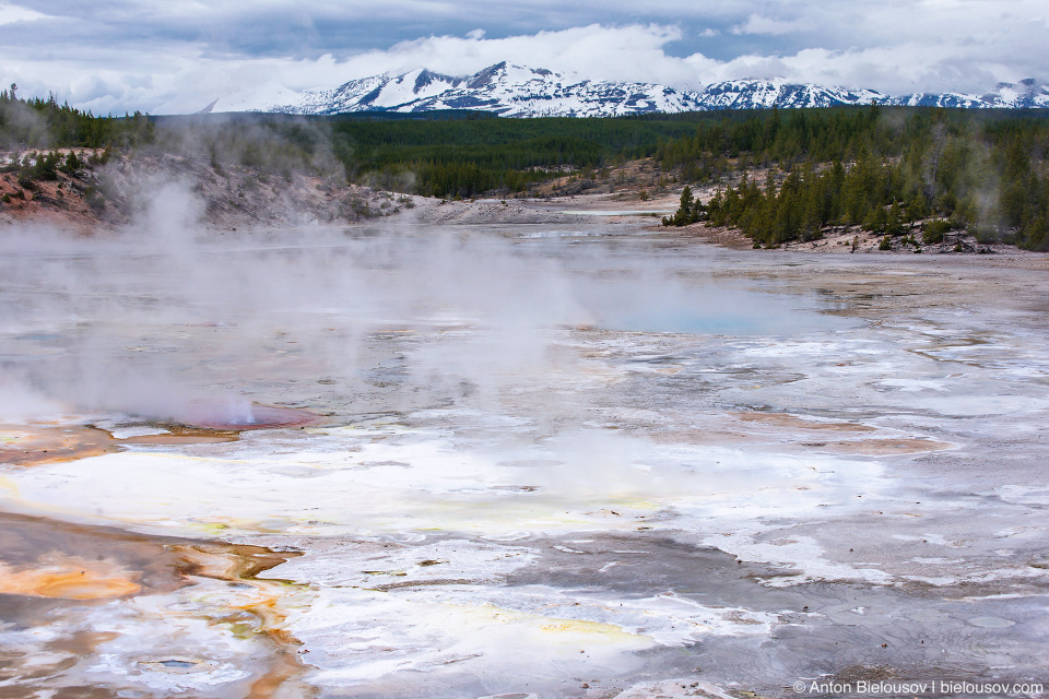 Norris Geyser Basin — Yellowstone NP