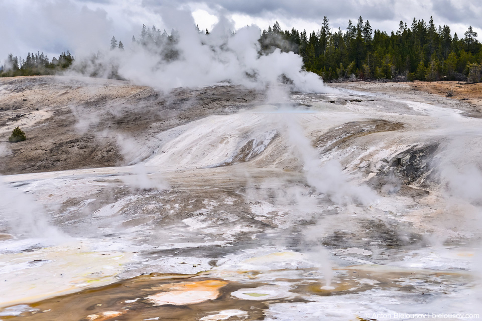 Norris Geyser Basin — Yellowstone NP