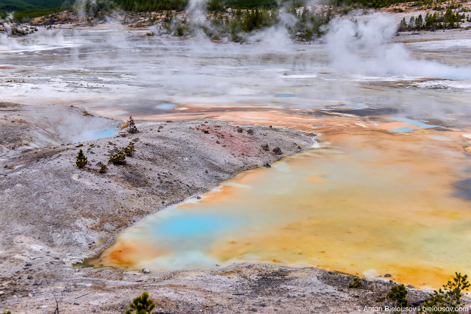 Porcelain Springs — Norris Geyser Basin, Yellowstone NP