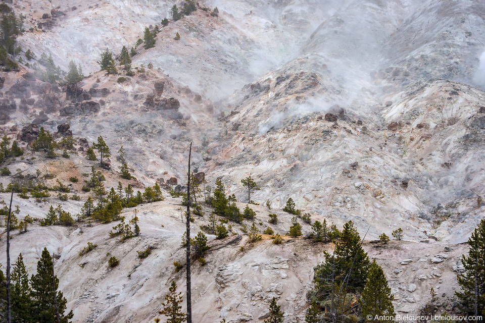 Roaring Mountain — Yellowstone NP