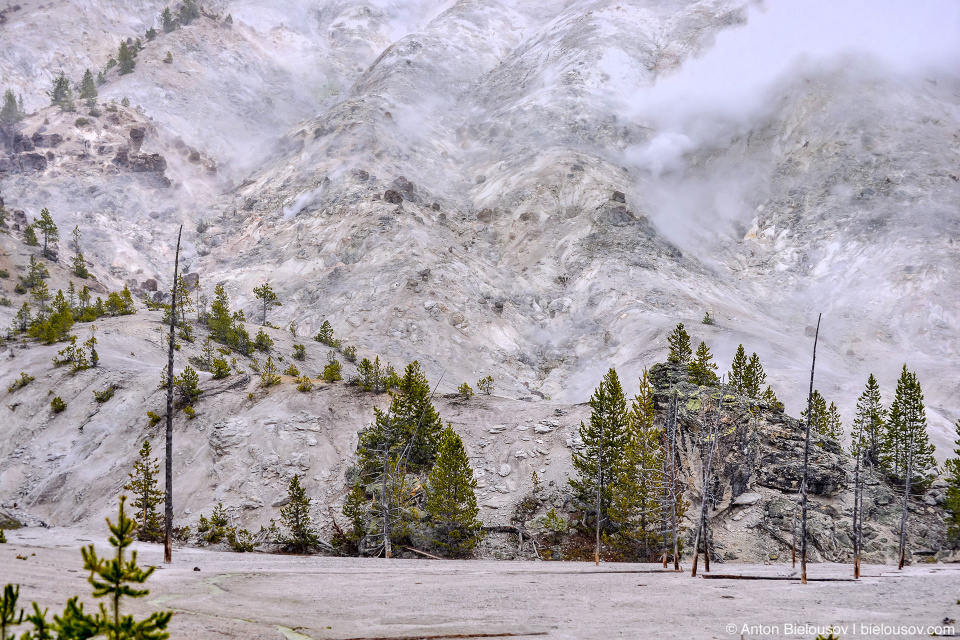 Roaring Mountain — Yellowstone NP