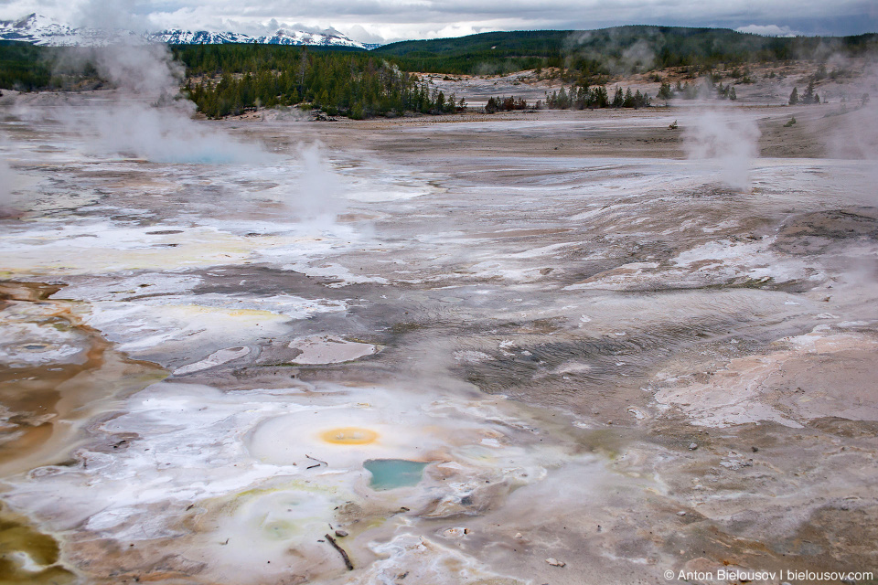 Norris Geyser Basin — Yellowstone NP