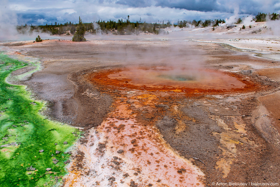 Whirligig Geyser — Norris Geyser Basin, Yellowstone NP