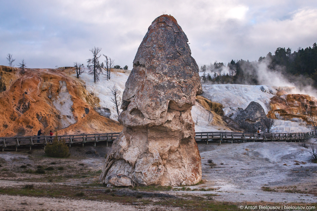 Liberty Cap, Palette Spring — Yellowstone, NP