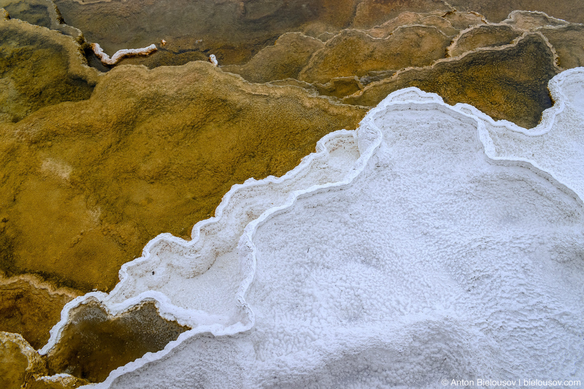 Mammoth Hot Spring traventine terraces — Yellowstone, NP