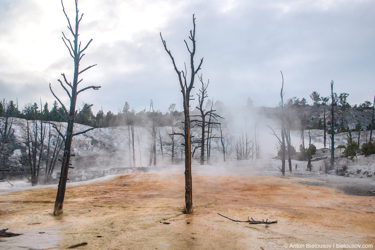 Mammoth Hot Spring — Yellowstone, NP