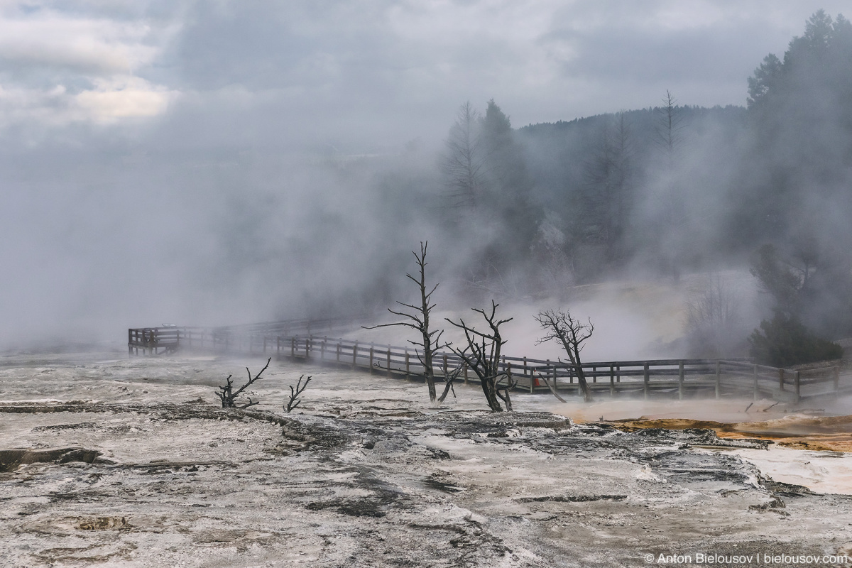 Mammoth Hot Spring — Yellowstone, NP