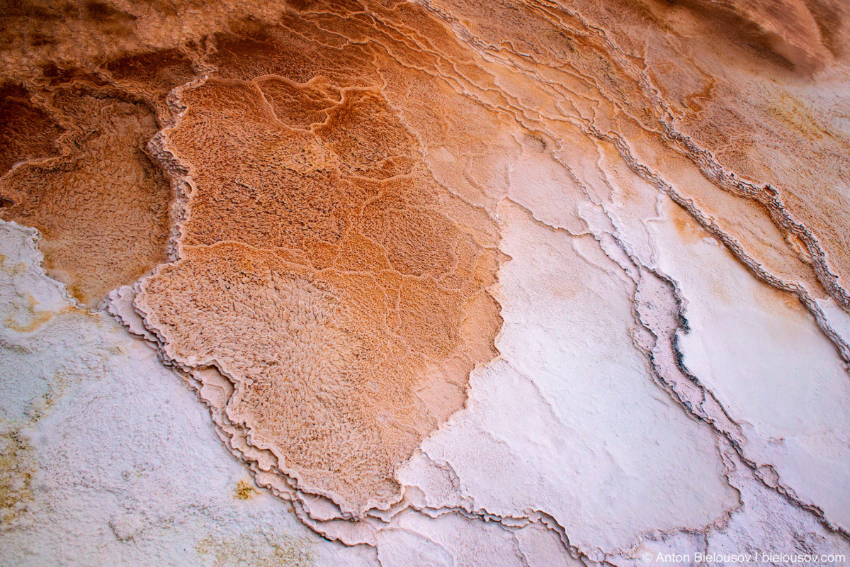 Mammoth Hot Spring traventine terraces — Yellowstone, NP