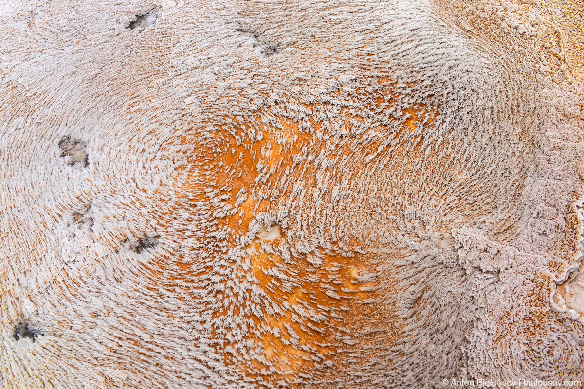 Mammoth Hot Spring traventine terraces — Yellowstone, NP