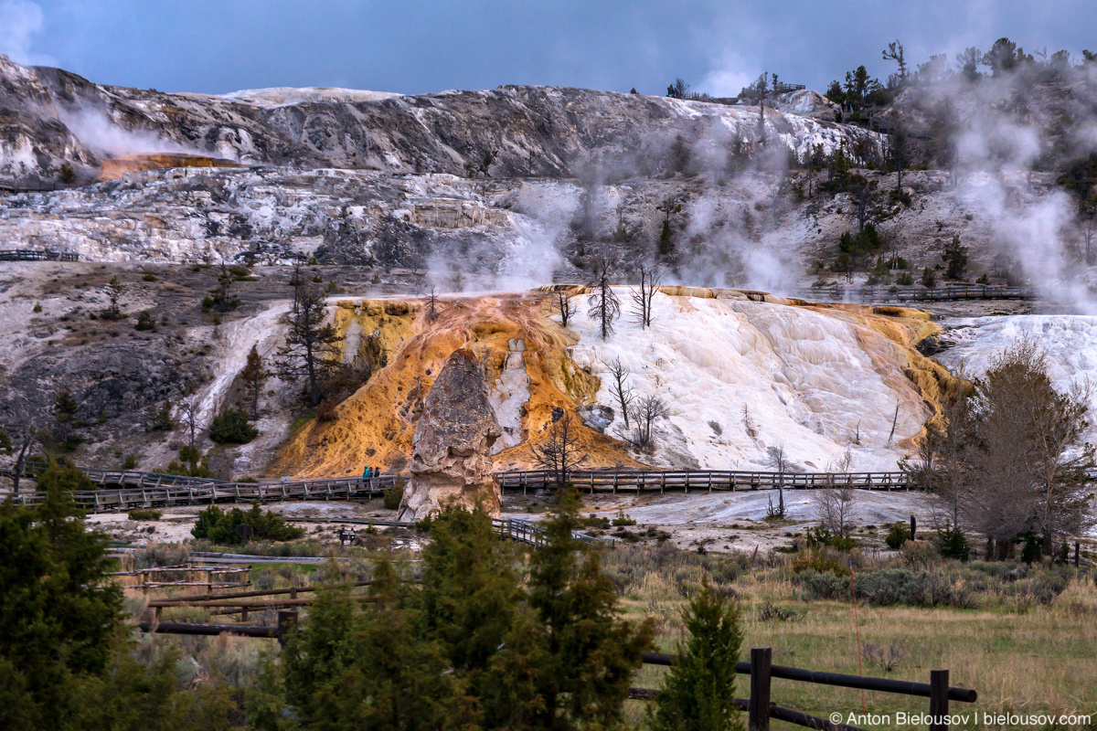 Mammoth Hot Springs — Yellowstone, NP