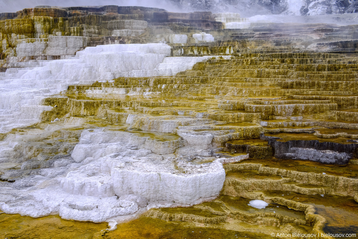 Minerva Terrace — Yellowstone, NP