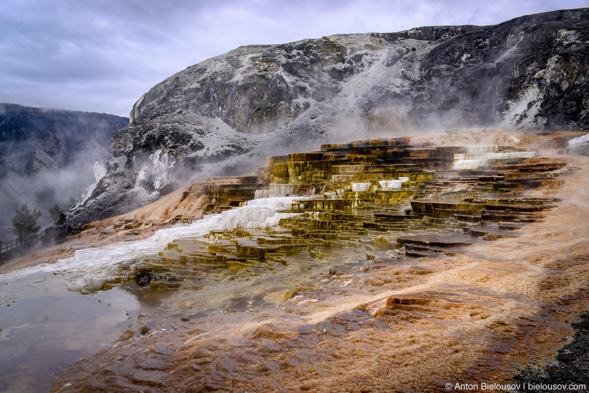 Minerva Terrace — Yellowstone, NP