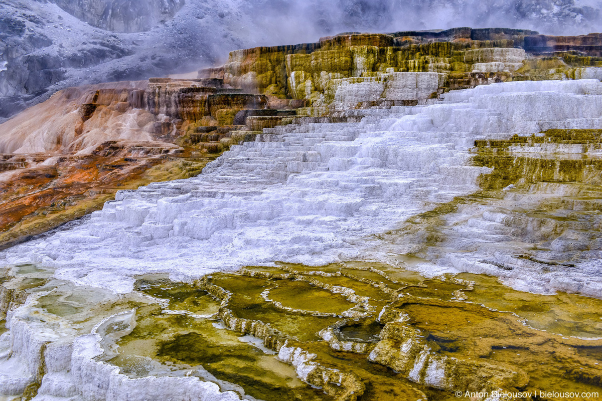 Minerva Terrace — Yellowstone, NP