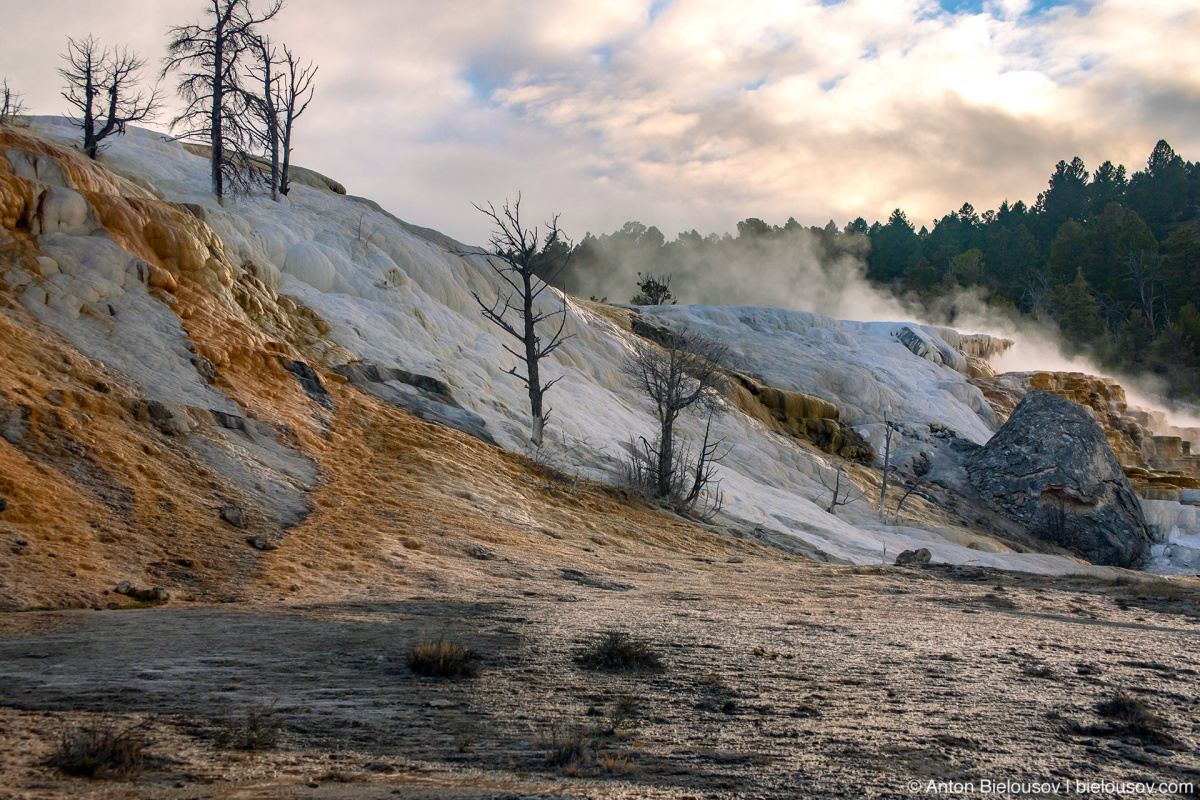 Palette Spring — Yellowstone, NP