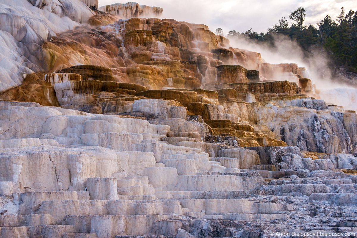 Palette Spring — Yellowstone, NP