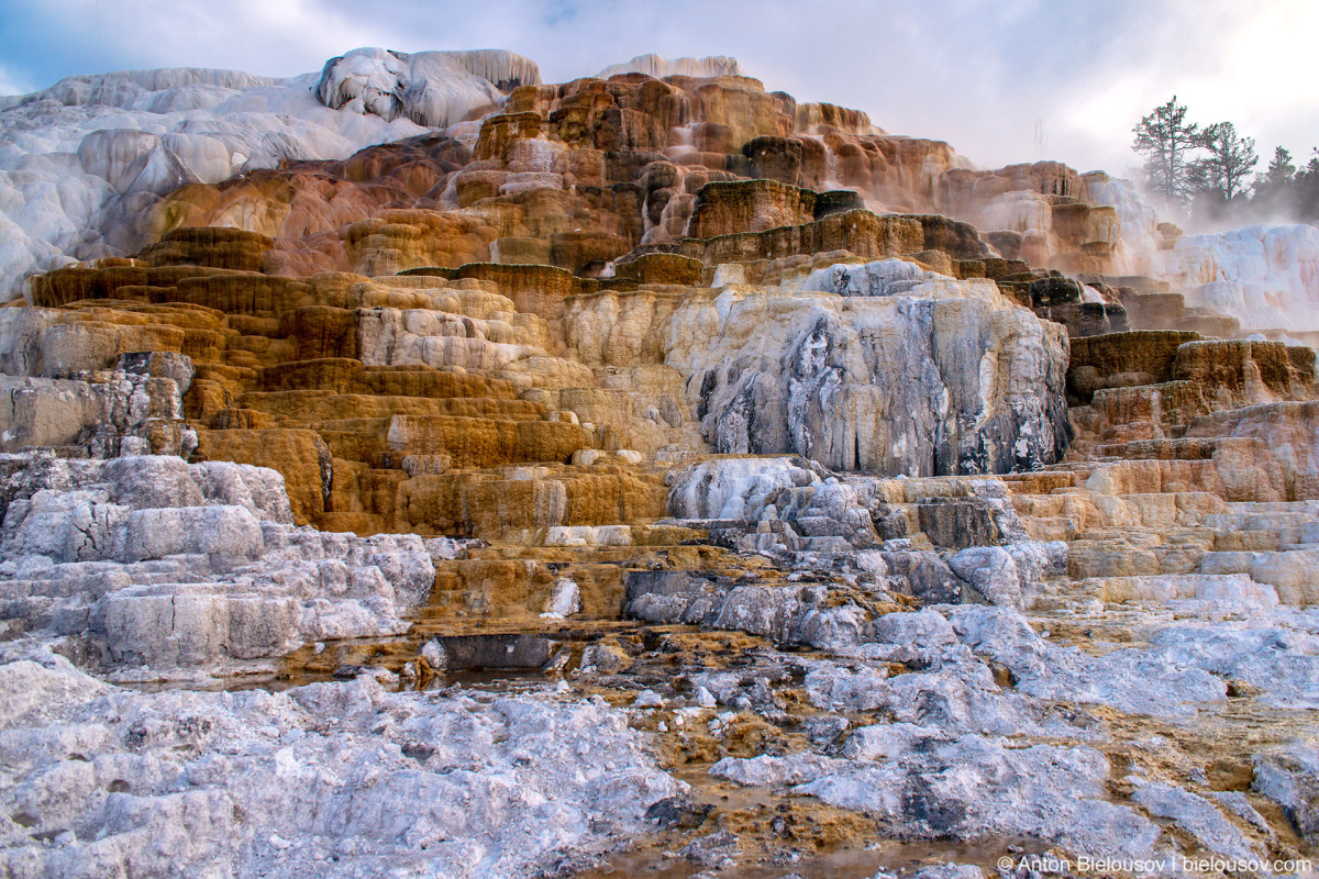 Palette Spring — Yellowstone, NP