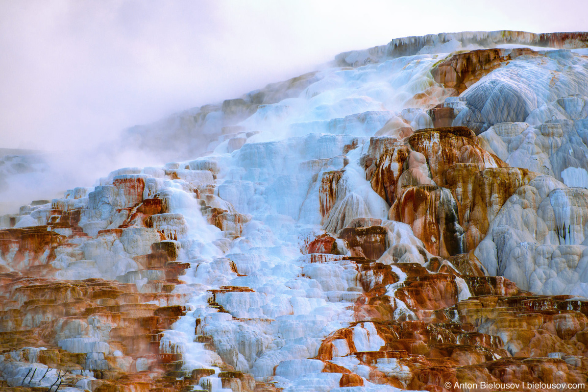 Canary Spring — Yellowstone NP