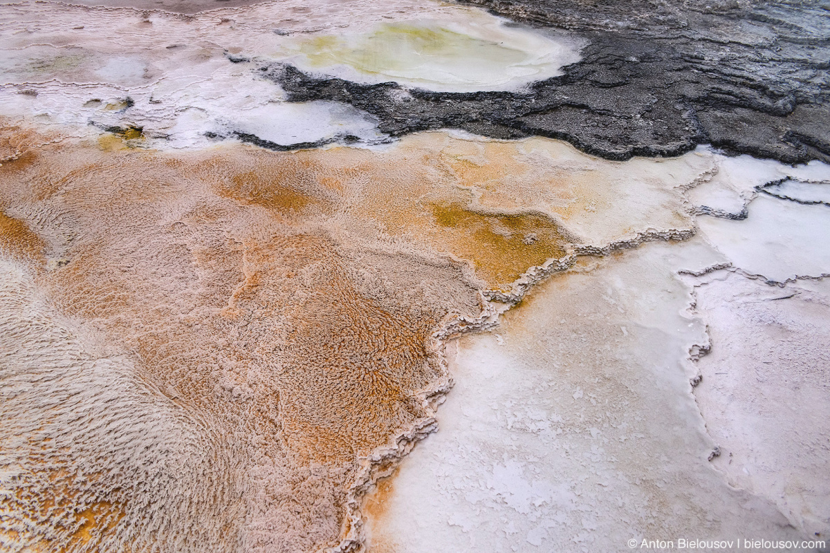 Mammoth Hot Spring traventine terraces — Yellowstone, NP