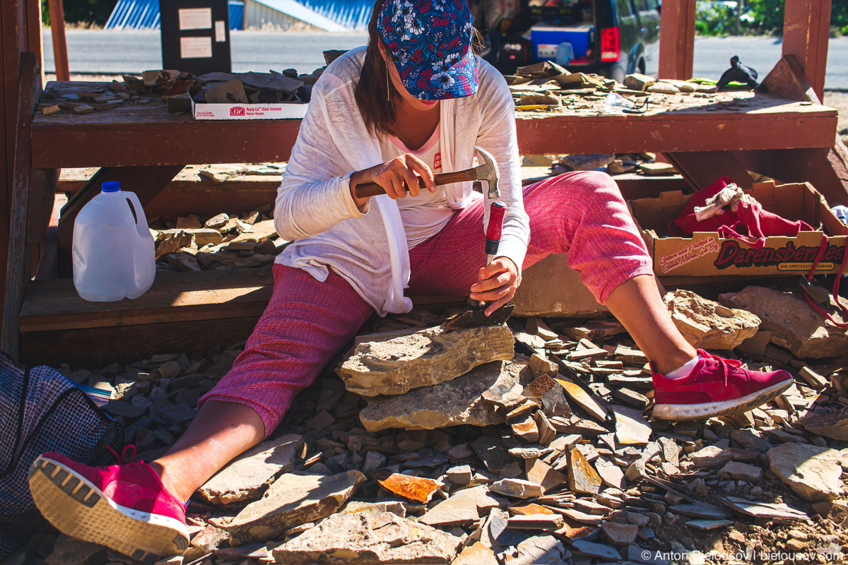 Stonerose fossils site — Republic, WA