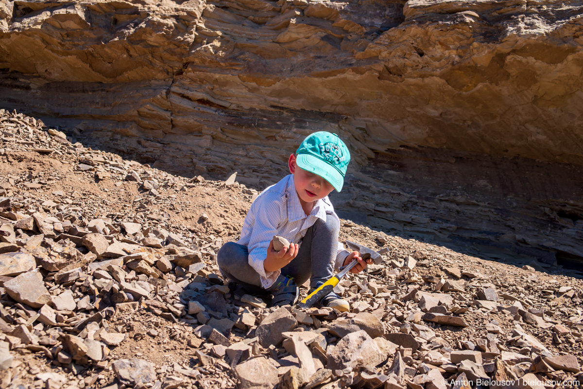 Stonerose fossils site — Republic, WA