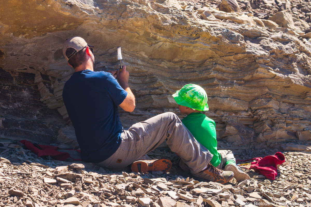 Stonerose fossils site — Republic, WA