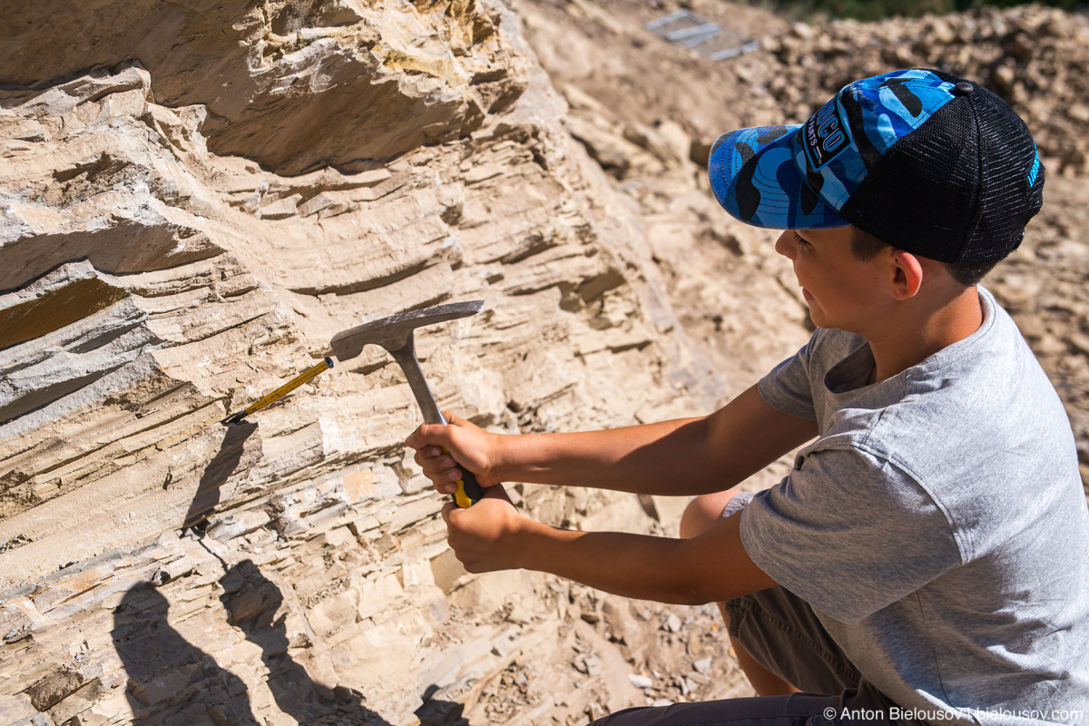 Stonerose fossils site — Yellowstone NP