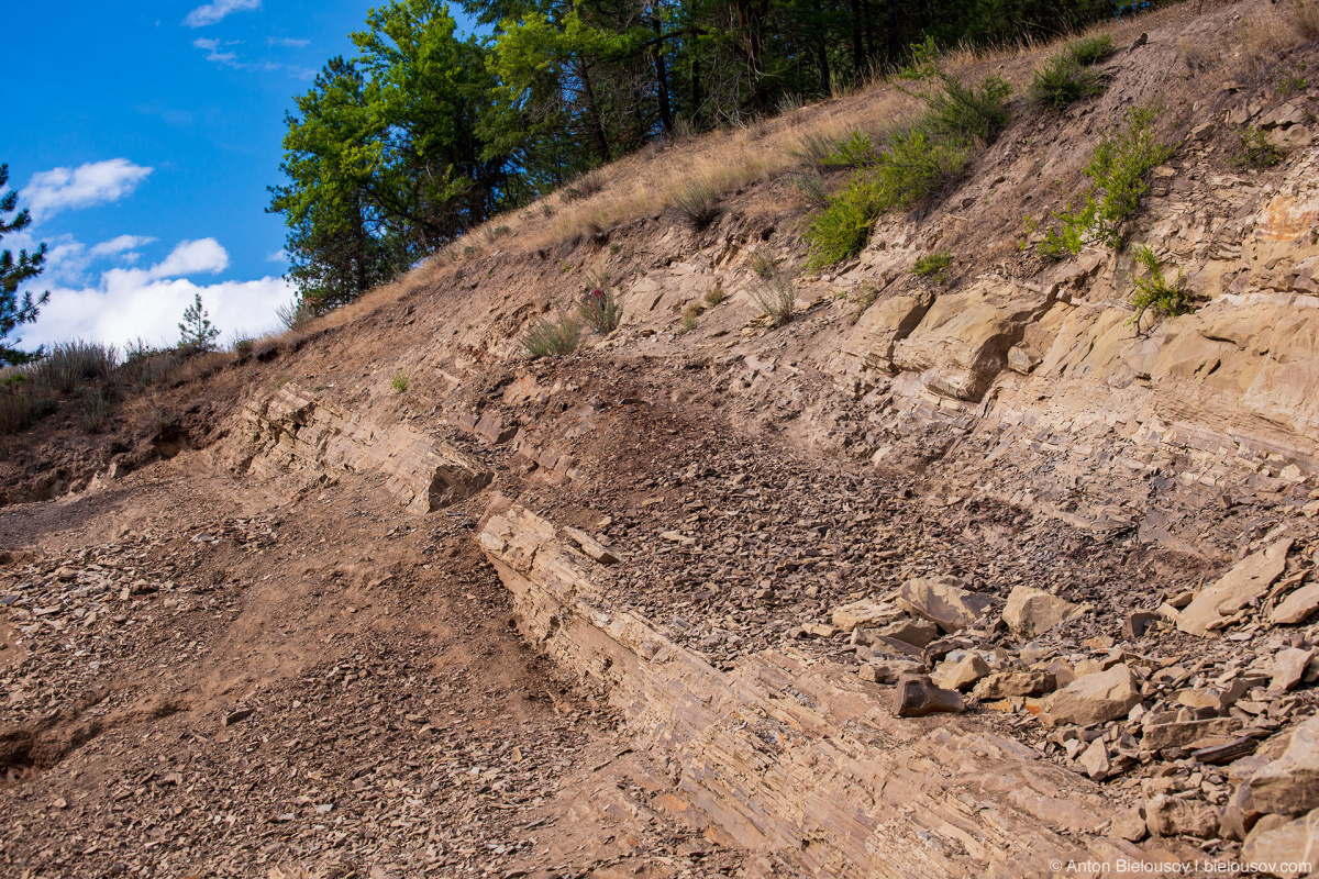 Stonerose fossils site — Republic, WA