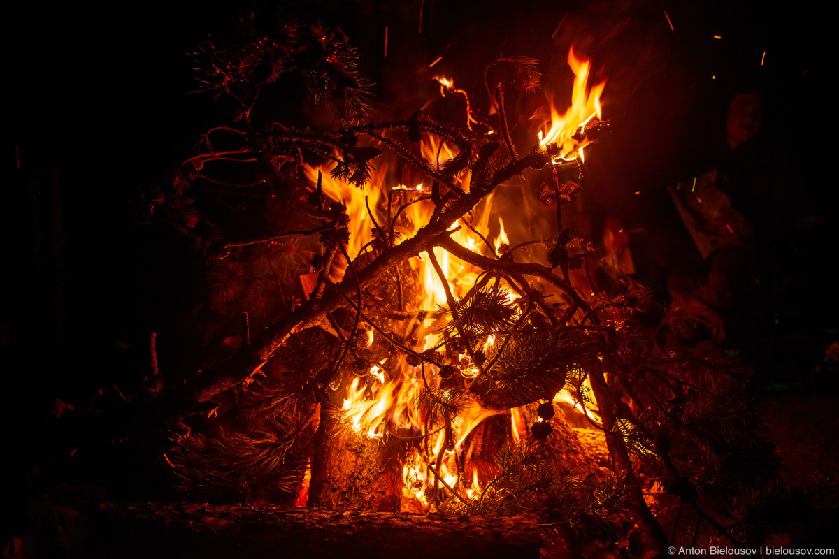 Whipsaw Trail Camp Fire