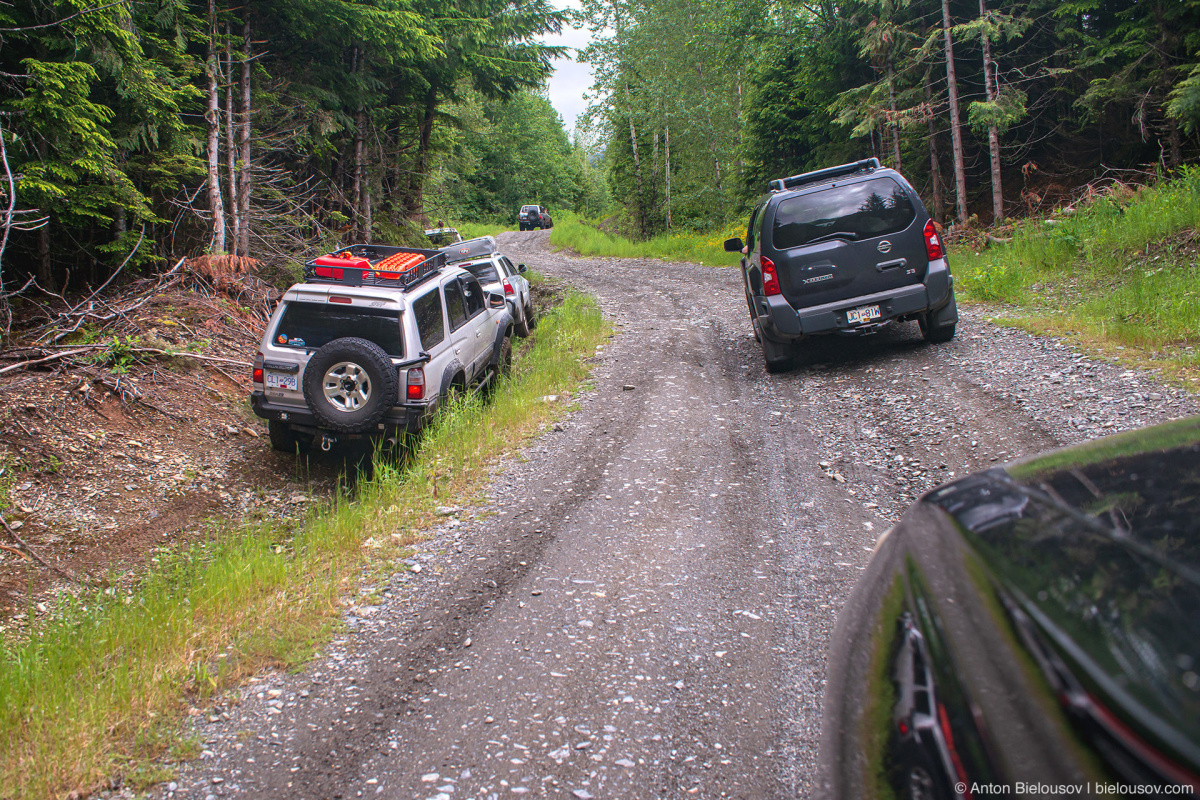 Mount Cheam Forestry Service Road