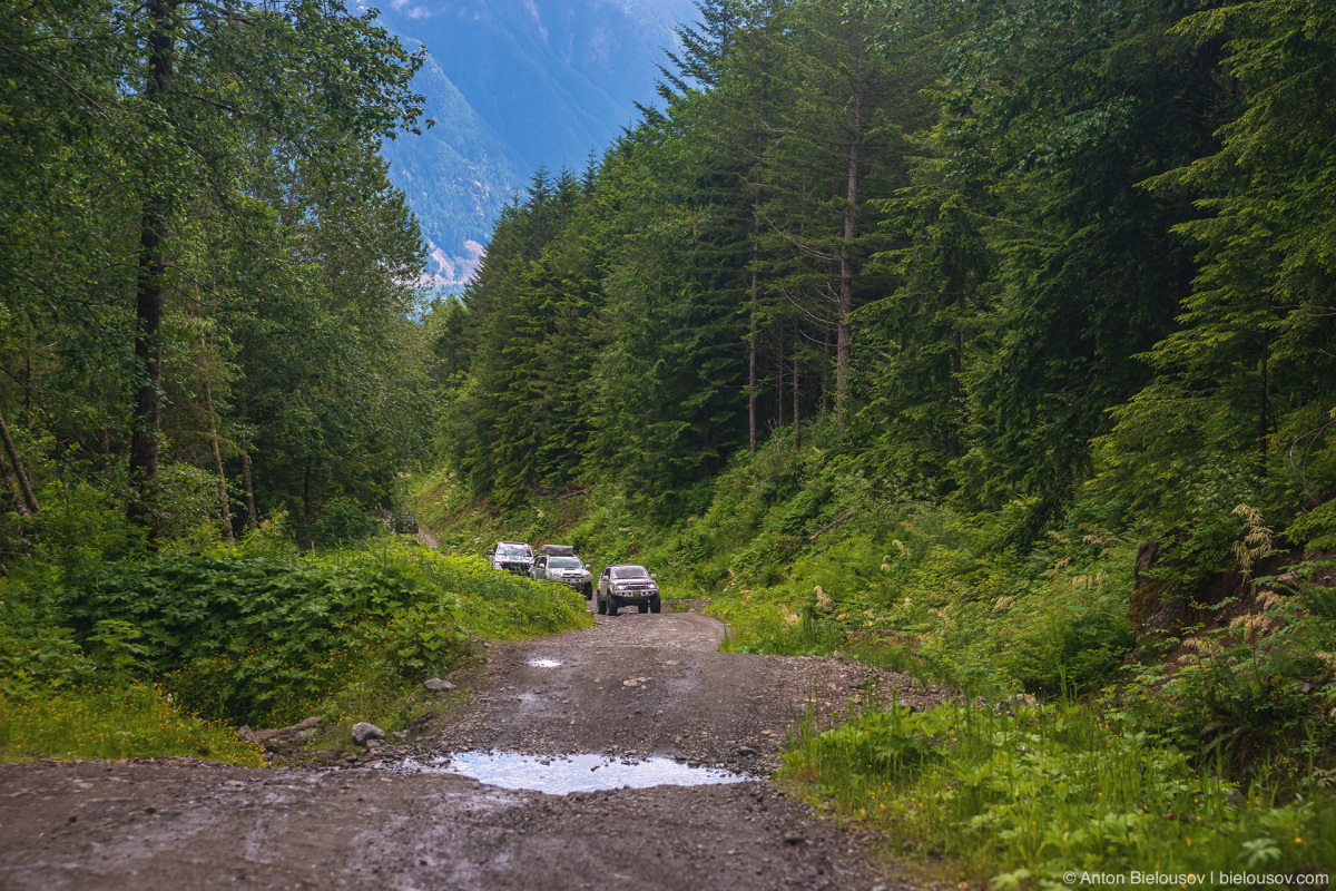 Mount Cheam Forestry Service Road