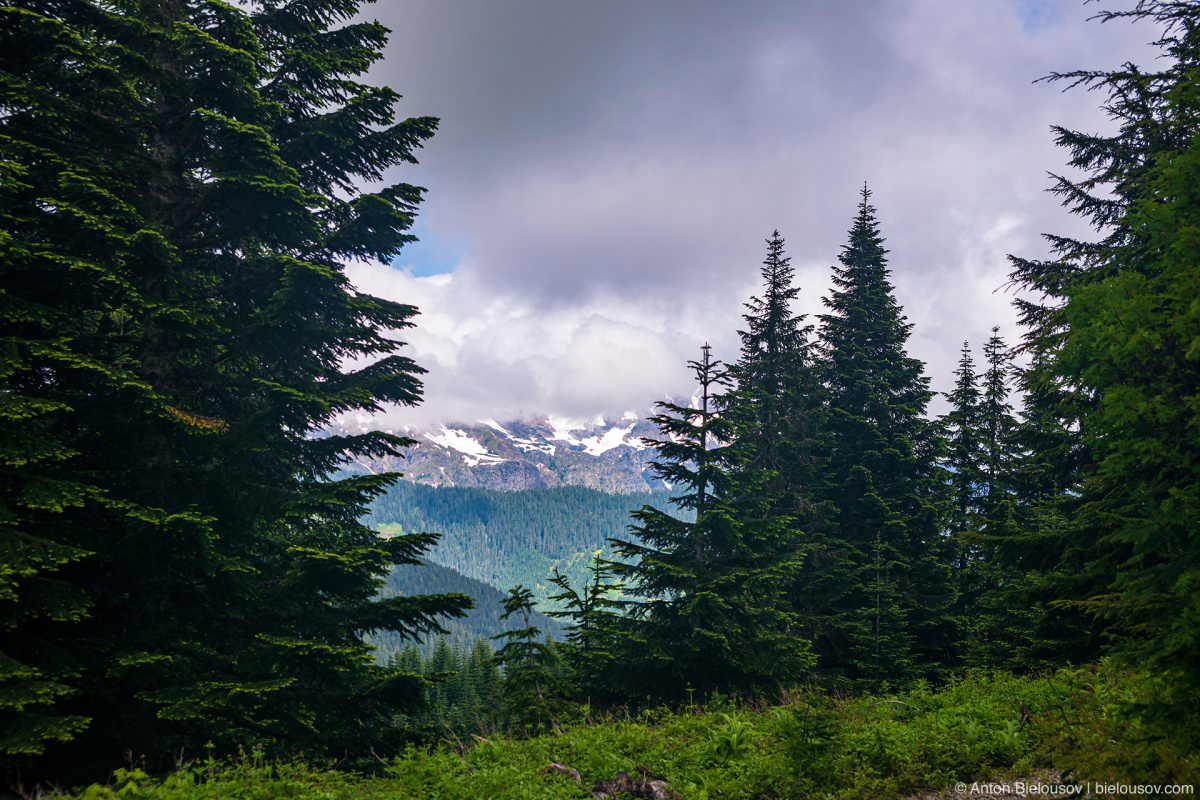 McDonald Peak — Cheam Lookout