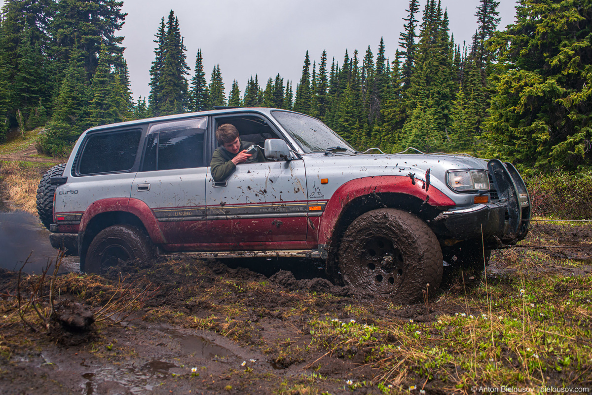 Whipsaw Trail Land Cruiser