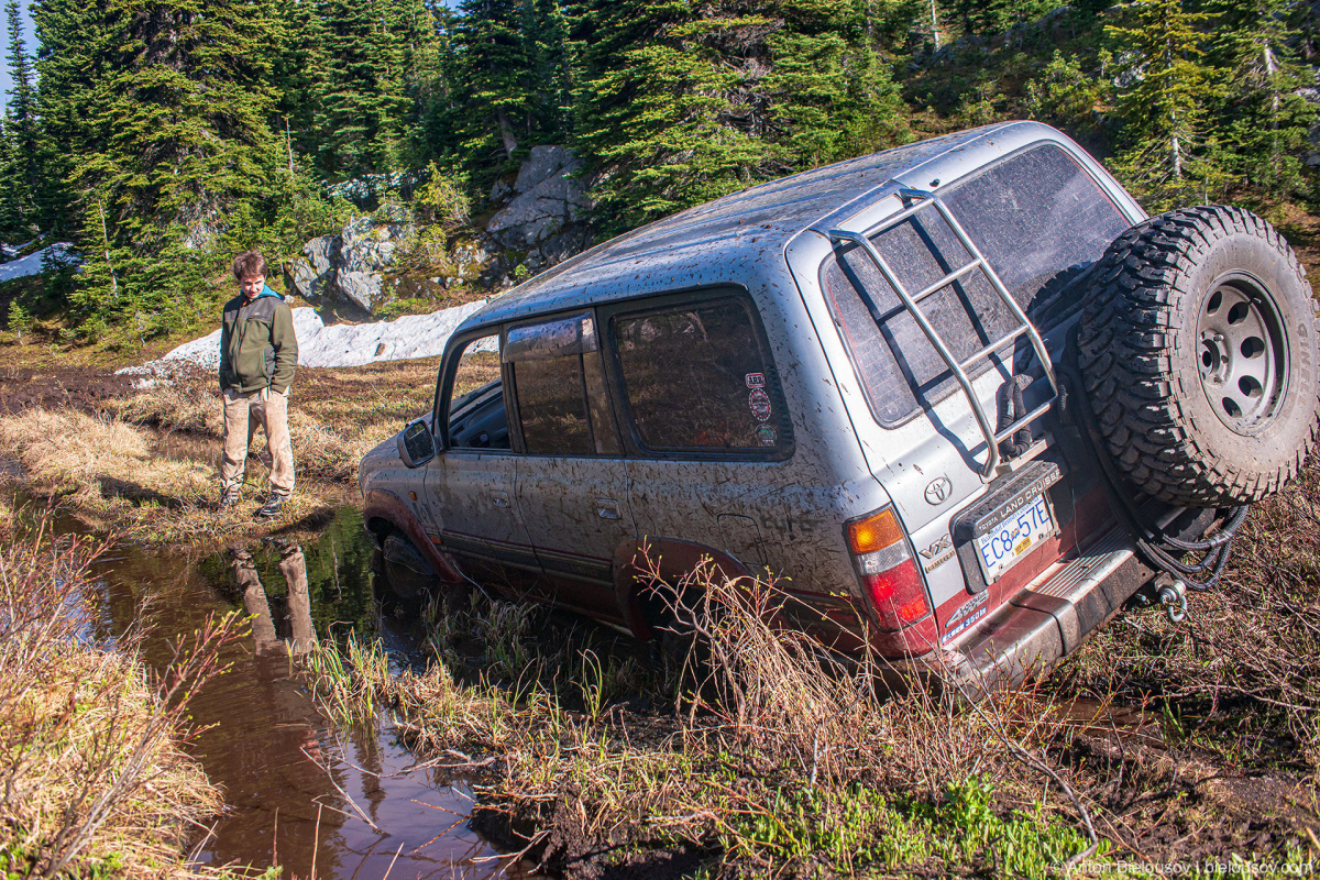 Whipsaw Trail Land Cruiser