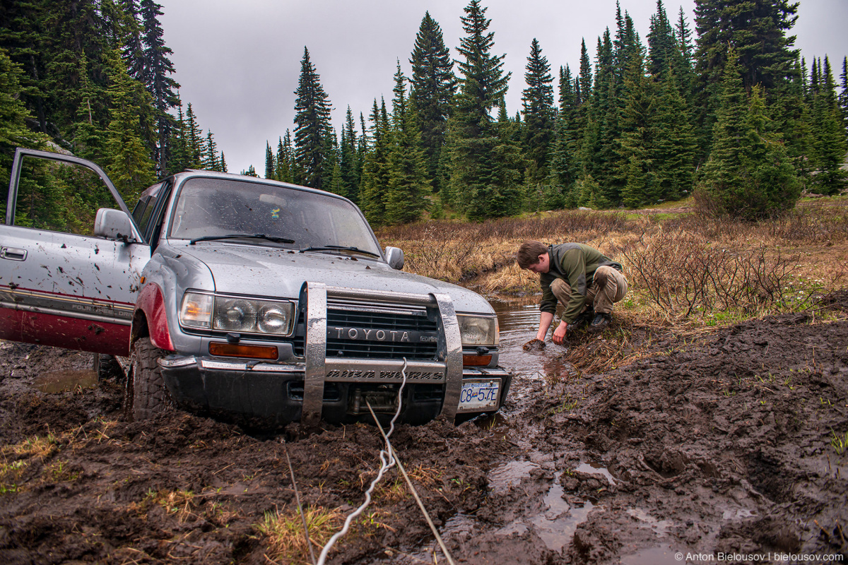 Whipsaw Trail Land Cruiser