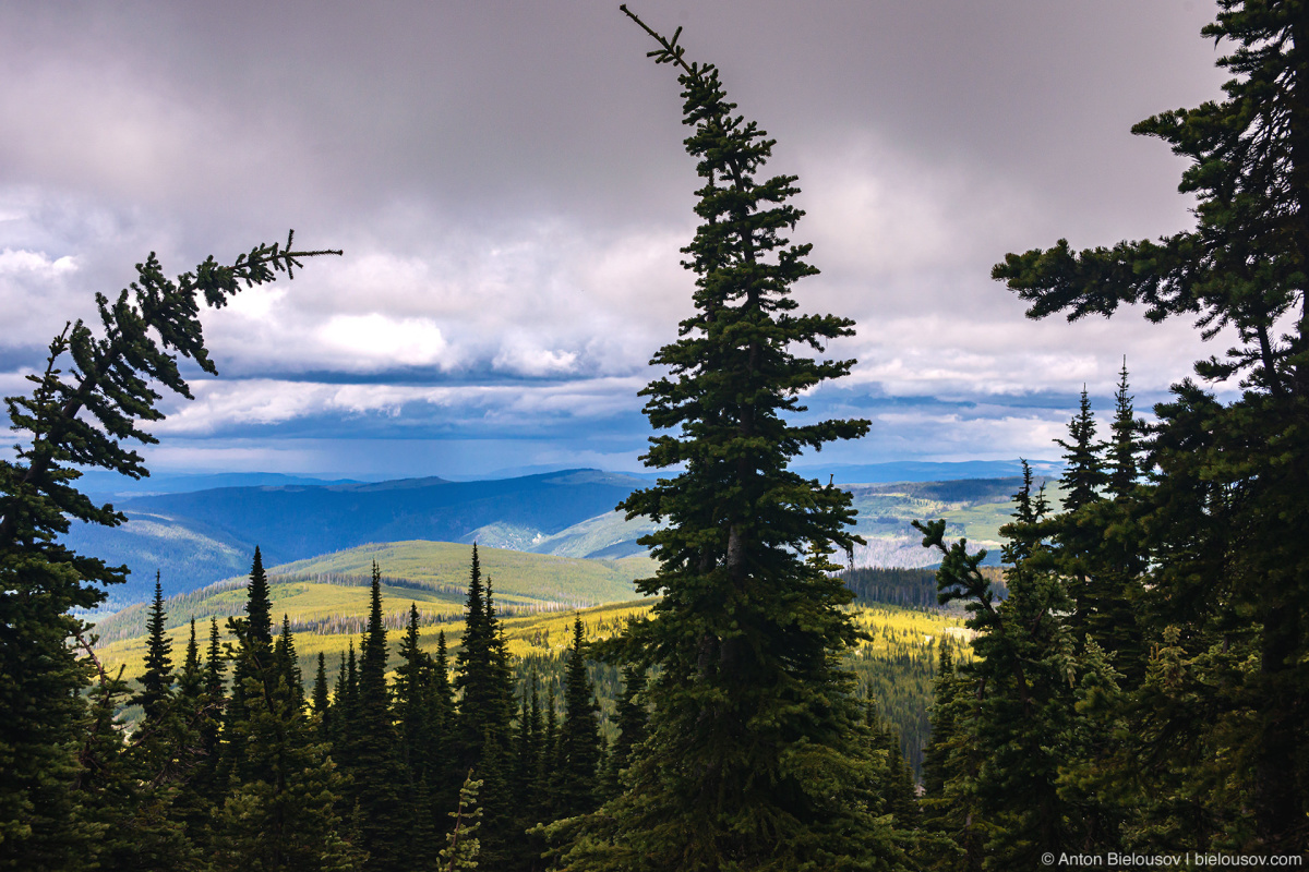 Whipsaw Trail Landscape