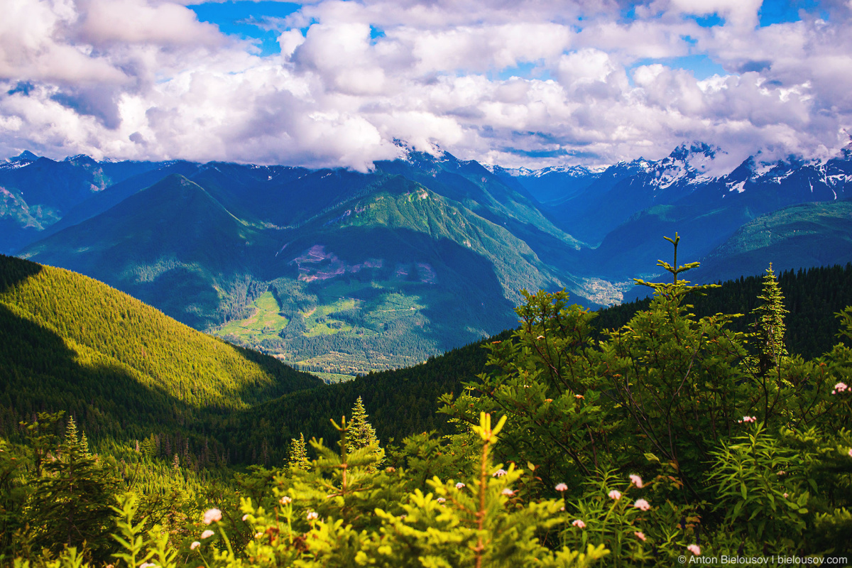 4x4 Thurston Loop — Mount Cheam (Chilliwack, BC)